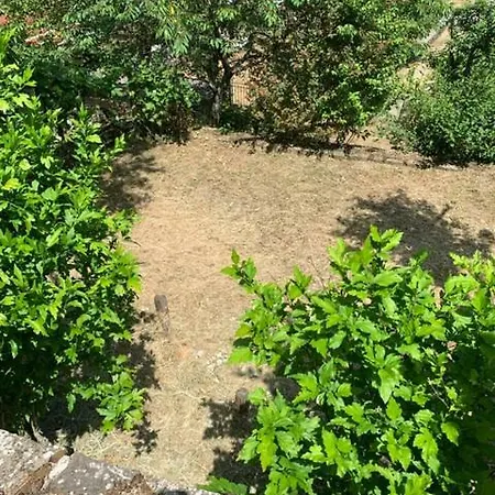 Monolocale Corchia